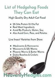 J Judyinthegreen - Profile Pinterest