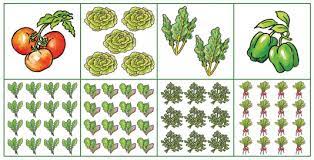 Vegetables are normally planted closer together than in the row vegetable garden layout making this is an ideal choice if you only have space for a small vegetable garden. Plans For Small Space Vegetable Gardens Gardener S Supply