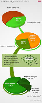 Infographie Les Terribles Dommages De L Homme Sur La Foret Infographie Developpement Durable Homme