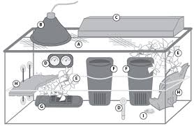 Best Water Heater For Turtles
