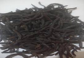 Image result for Xylopia aethiopica