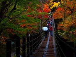 絶景の紅葉 吊り橋 県内有数の紅葉スポット うぐいす谷温泉 絶品あんこう鍋とキンキ煮付の宿 竹の葉のブログ 宿泊予約は じゃらん