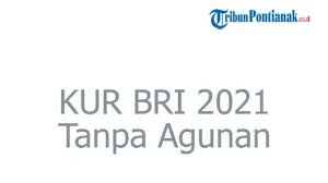 Panduan dan informasi kur bri terbaru. E Ggum5qzncw2m