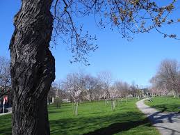 While torontonians have been told off for ignoring social speaking to cp24 on saturday, the mayor said, i was by a number of other parks today, and there were parks that were reported to me as being. The History And Beauty Of Trinity Bellwood Park Historic Toronto