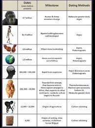 54 Interpretive Evolutionary Stages Of Man Chart