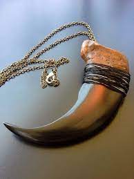 Handmade Vintage Bear Claw Necklace Wire Wrapped Gold Chain Animal Claw Bone Necklace Plastic Sharp Claw Pendant 11 Length Bear Claw Necklace Claw Necklace Bear Claws