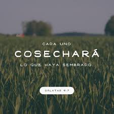 Pin De Betty Pt En Baby Shower Versiculos Biblicos Frases De Salmos Biblia