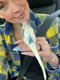 Welcome to the pack!! This is Jade's...