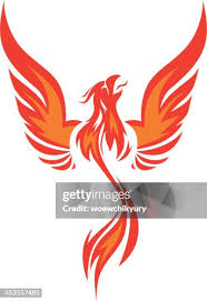 Image result for Phoenix