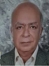 Effective Accountability Model of Public School Principals