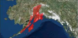 Select from premium alaska tsunami of the highest quality. 20minuten Ch Tsunami Warnung In Alaska Nach Erdbeben Www 20minuten Ch