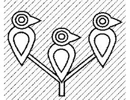 Bird external anatomy coloring page. 3 Little Birds Coloring Page