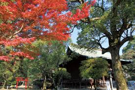 Рекламные программы всё о google google.com. ä¹…ç•™ç±³åŸŽå€ ç¯ å±±ç¥žç¤¾ ä¹…ç•™ç±³è§€å…‰æ™¯é»ž ä¹…ç•™ç±³è§€å…‰æŒ‡å—