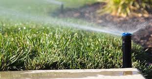 The air is cooler and the winds are calmer, so there will be less evaporation. Install An Irrigation System Rona