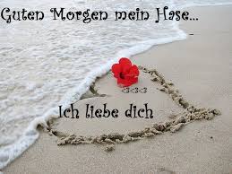 Ich hab im traum an dich gedacht. Guten Morgen Mein Geliebter Hase Ich Wunsche Dir Einen Wunderschonen Tag Hab Viel Spass Ich Werde An Schone Liebe Guten Morgen Schatz Beziehungen Liebe