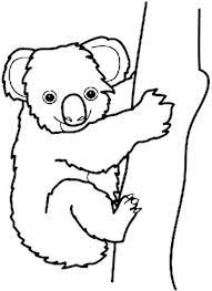 Keep your kids busy doing something fun and creative by printing out free coloring pages. Koala Bear Coloring Pages New Coloring Pages Bear Coloring Pages Koala Bear Koala