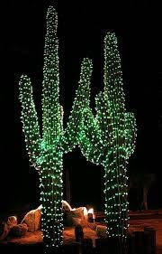 How to plant christmas cactus. Christmas In Arizona I Love This It S Like Put Lights On What You Have We Have Palm Trees In Florida We Christmas Cactus Saguaro Cactus Saguaro
