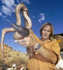 What's on animal planet tonight. Snakemaster Premieres Tonight On Animal Planet The Spokesman Review