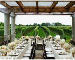 Top 10 Wedding Venues In Long Island Ny Best Banquet Halls Wolffer Estate Wedding Venues Long Island Long Island Wedding