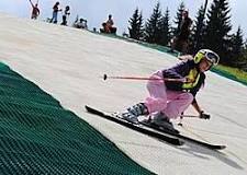 Pista de esquí seco - Wikipedia, la enciclopedia libre