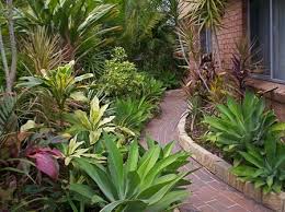 Petunias, geraniums and salvias are all very easy care flowering plants which can fill tough spaces with an abundance of flowers. Low Maintenance Garden A Reality Abc None Australian Broadcasting Corporation