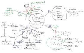 Aplikasi ini mengandungi nota biologi yang ringkas dan padat. Nota Kreatif Biologi Tingkatan 4 Cikgu Azrie Sbpi Sabak Bernam Com