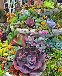 Container Garden Ideas With Succulents 1 Container Garden Ideas With Succulents 1 Design Ideas And Photos Succulents Succulent Landscape Design Planting Succulents