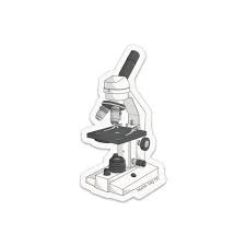 Descubre la mejor forma de comprar online. Pin De Abril En Neverland Dibujos De Biologia Pegatinas Para Imprimir Gratis Pegatinas Bonitas