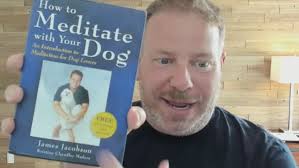 How to Meditate with Your Dog