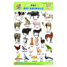 Pet Animals Chart Printable Pets Gallery