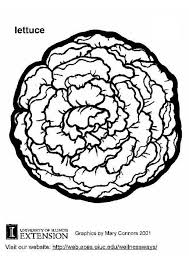 You can use our amazing online tool to color and edit the following lettuce coloring pages. Coloring Page Lettuce Free Printable Coloring Pages Img 5815