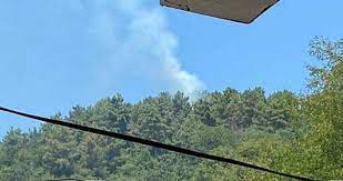Jun 07, 2021 · i̇stanbul'un beykoz ilçesindeki göksu deresi'nde demirli bulunan grace isimli lüks yatta henüz bilinmeyen bir nedenle yangın çıktı. Cmm2sa7ylmvdmm