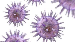 Corona Langzeitfolgen Durch Das Epstein Barr Virus Swr Wissen