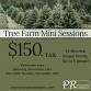 Tree Farm Mini Sessions - Aissen Tree Farm, E1105 WI-29 Event Image