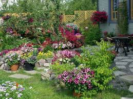 Landscape tepi rumah & semi d landscape. Https Www 314167 Info 2018 01 Hiasan Rumah Halaman Rumah Peribadi