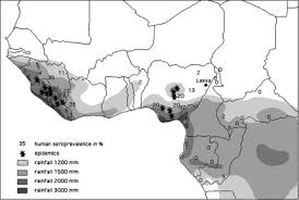 Check spelling or type a new query. Lassa Fever A Rodent Human Interaction Sciencedirect