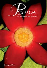 A tropical garden features tropical plants and requires good rainfall or a decent irrigation or sprinkler system for watering. Pdf Plants In Tropical Cities