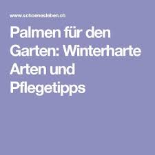 Palmen Fur Den Garten Winterharte Arten Und Pflegetipps Palmen Garten Palmen Palmen Pflanzen