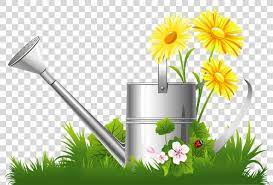 Spring Flower Clip Art Spring Tulips Cliparts Png Spring Alternative Medicine Daisy Drawing Energy Flower Clipart Spring Tulips Spring Flowers
