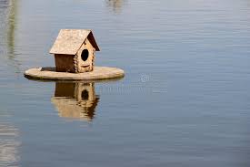 Informiere dich je nach land, stadt und region nach dem wetter. Entenhaus Auf Dem See Foto Stockbild Bild Von Haus Schwimmen 94559803