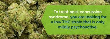 Marijuana For Post Concussion Syndrome Marijuana Doctors