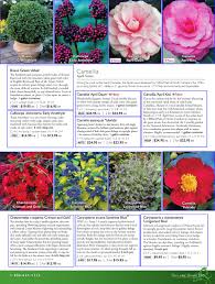 Is it possible to bring colorful blossoms, delicious scents and texture to your winter garden? Wayside Gardens Spring Gardening 2010 By Jppa Inc Issuu