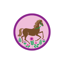 Download Horseback Riding Junior Badge Girl Guides Wiki Fandom