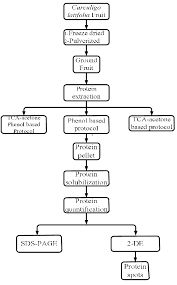 Flow Chart Of The Methodology Steps Download Scientific