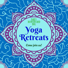 Daily Downward Dog Yoga Retreats Dog Yoga Downward Dog Yoga Yoga Retreat