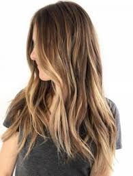 Hair Brunette Highlights Straight Light Browns 62 Ideas For 2019 Brown Hair With Highlights Hair Highlights Honey Brown Hair
