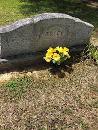 William Matthew Trice (1866-1932)