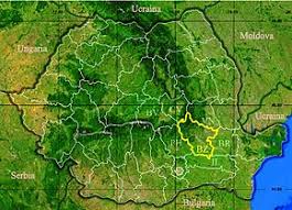 A sword which is more than 3,000 years old, and dates back to the late bronze age has been discovered by accident in the county of buzau (buzău) in the southeastern part of romania. JudeÈ›ul BuzÄƒu Wikipedia