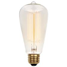 Westinghouse Lighting 60 Watt St20 Incandescent Dimmablelight Bulb Vintage Yellow 2200k E26 Medium Standard Base Reviews Wayfair