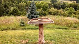 A proper bird feeder pole is essential if you want to enjoy birds in your backyard without squirrels pick a bird feeder pole that is tall, sturdy, and squirrel proof. Flagstone Bird Feeder Landscape Omaha By Flatwater Landscape And Design Llc Houzz